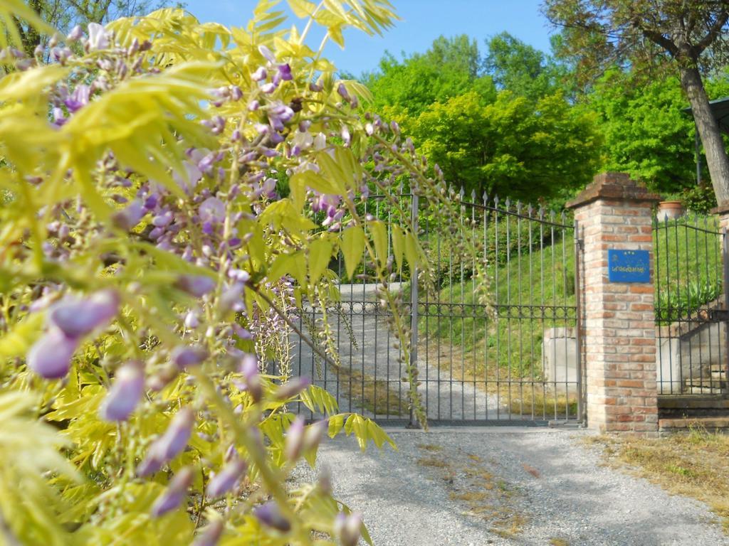 Tenuta Calabiana Diano dʼAlba Cameră foto