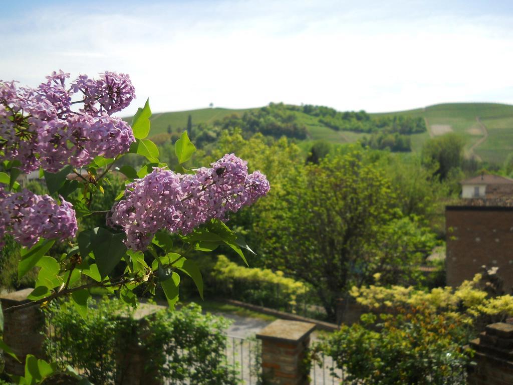 Tenuta Calabiana Diano dʼAlba Cameră foto