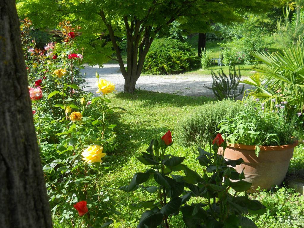 Tenuta Calabiana Diano dʼAlba Cameră foto