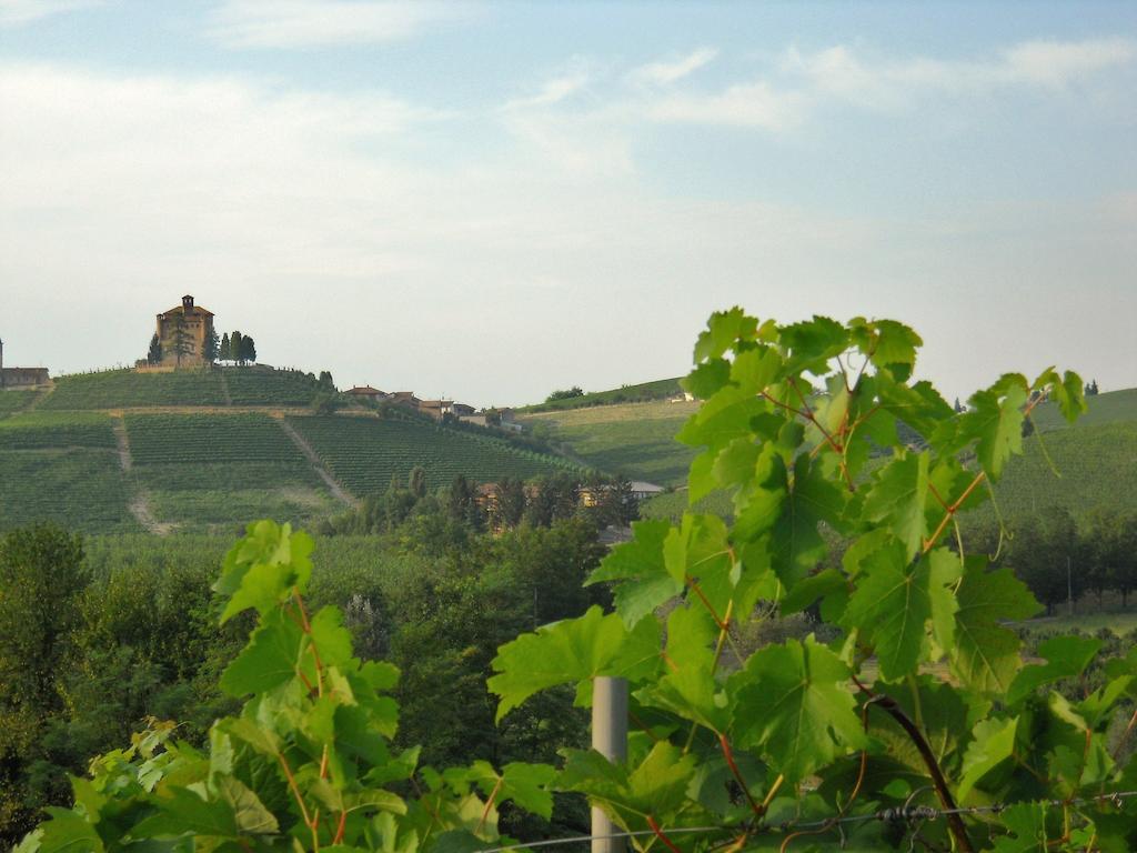 Tenuta Calabiana Diano dʼAlba Cameră foto
