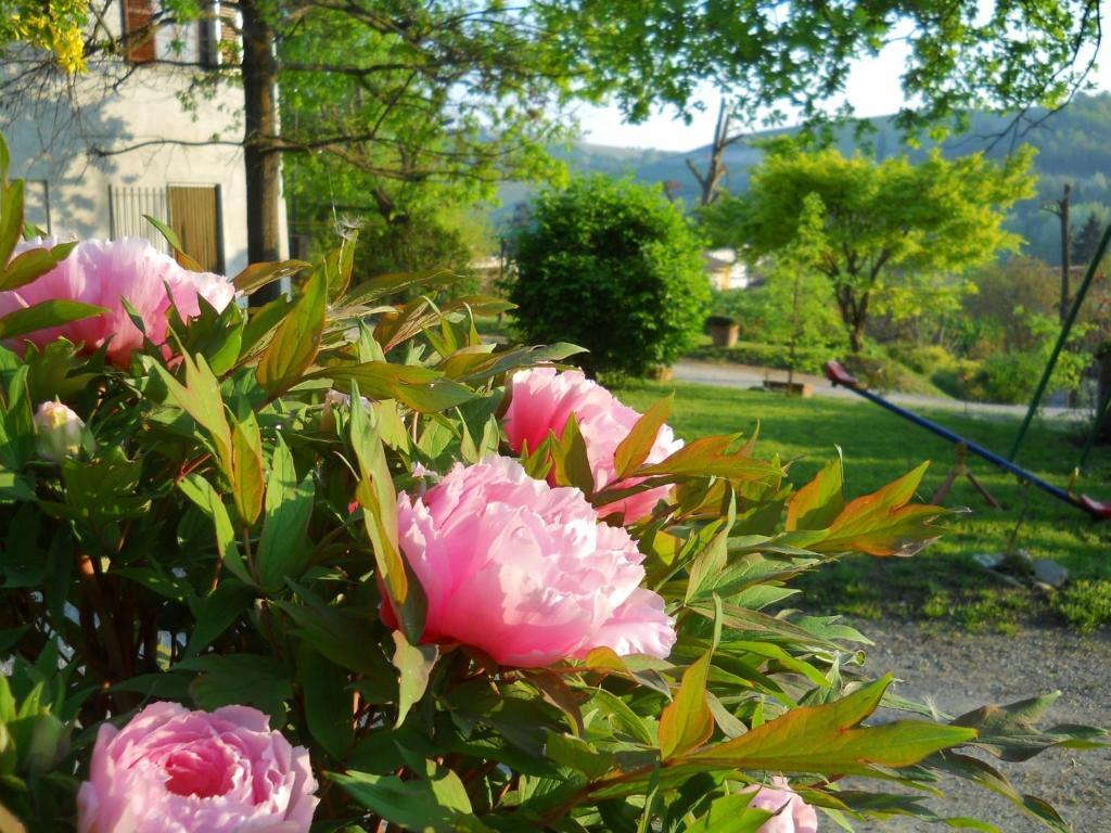 Tenuta Calabiana Diano dʼAlba Cameră foto
